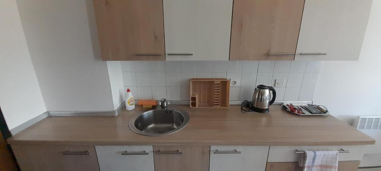 Cozy And Sunny Apartment Near The Airport Saraybosna Dış mekan fotoğraf
