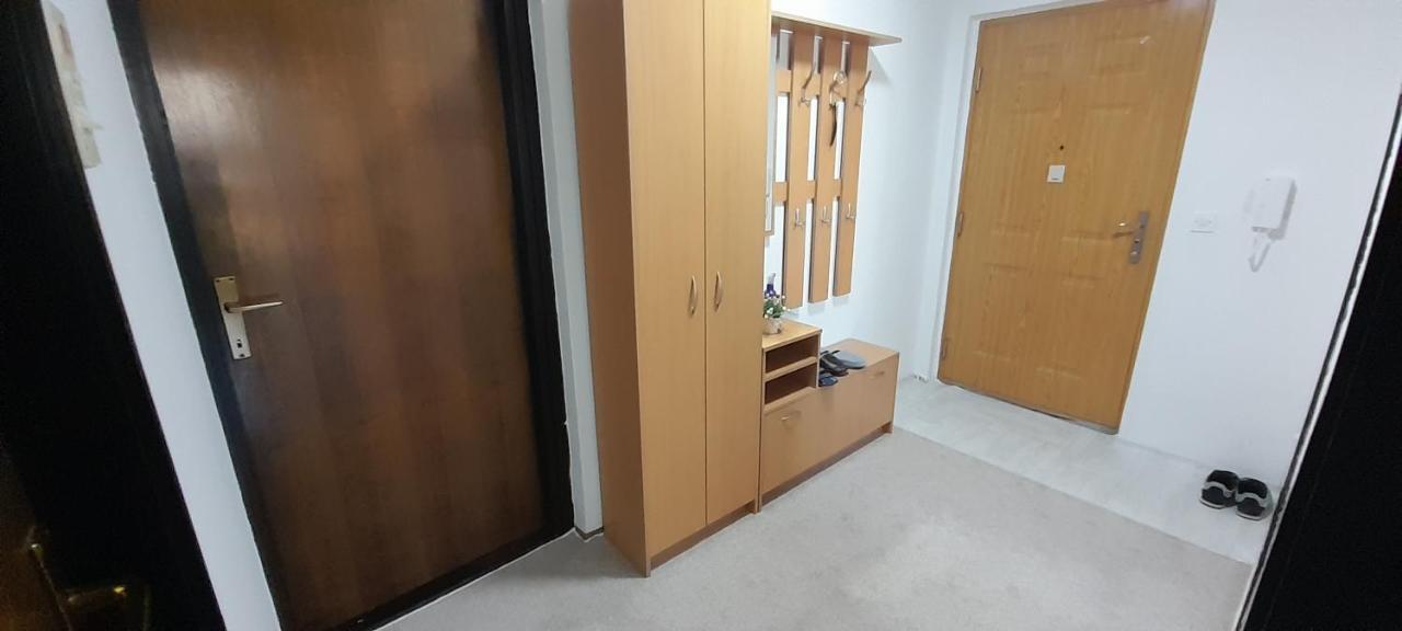 Cozy And Sunny Apartment Near The Airport Saraybosna Dış mekan fotoğraf